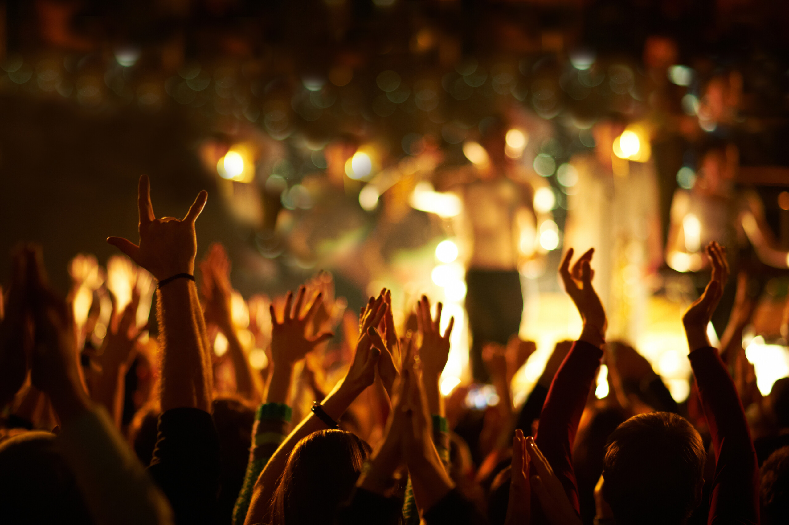 Audience at gig