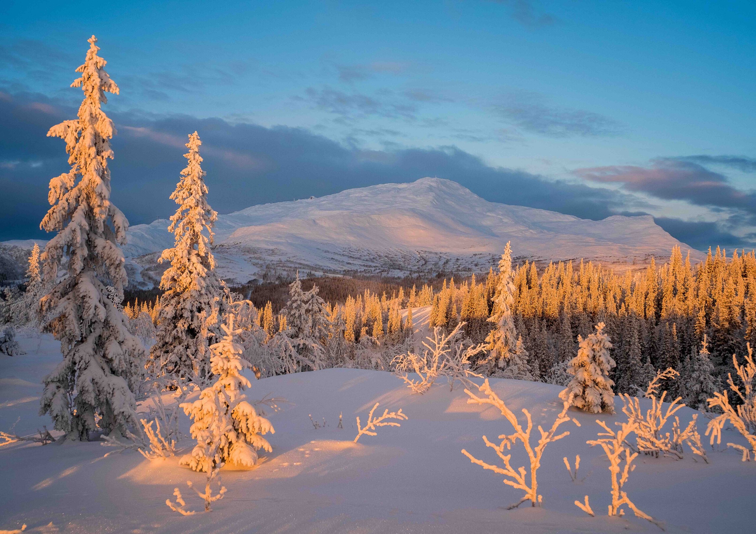 Winter activities in Dumfries & Galloway